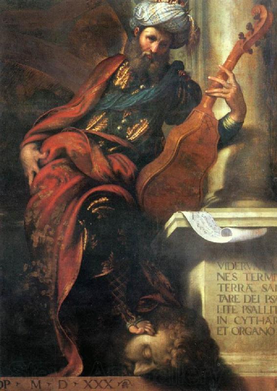 BOCCACCINO, Camillo The Prophet David Spain oil painting art